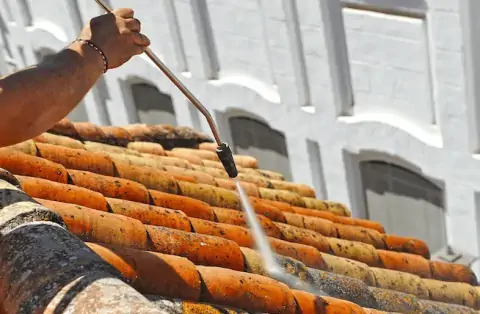 Démoussage de toiture à Nieulle sur Seudre